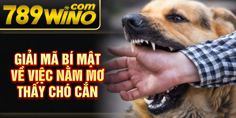 Giải mã bí mật về việc nằm mơ thấy chó cắn