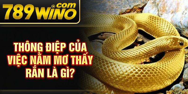 Thông điệp của việc nằm mơ thấy rắn là gì?