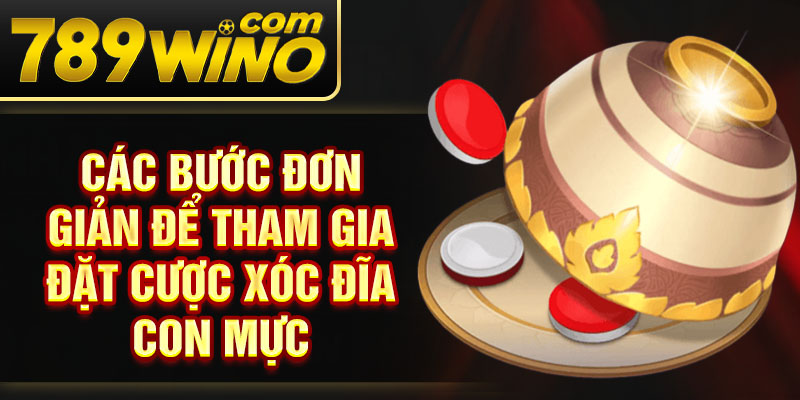 Các bước đơn giản để tham gia đặt cược xóc đĩa con mực