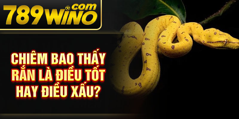 Chiêm bao thấy rắn là điều tốt hay điều xấu?