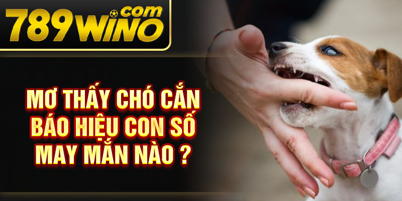 Mơ thấy chó cắn báo hiệu con số may mắn nào ?