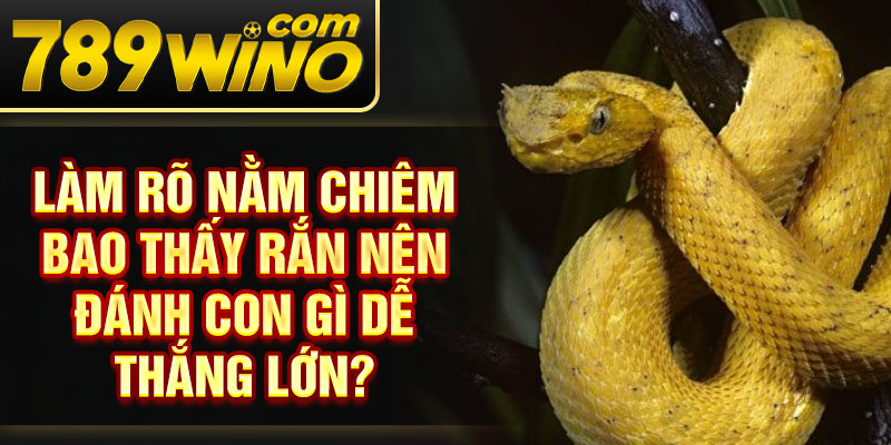 Làm rõ nằm chiêm bao thấy rắn nên đánh con gì dễ thắng lớn?